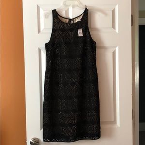 Ann Taylor Loft Lace Black Dress Size 8